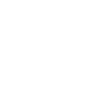 International Association of Professional Translators and Interpreters